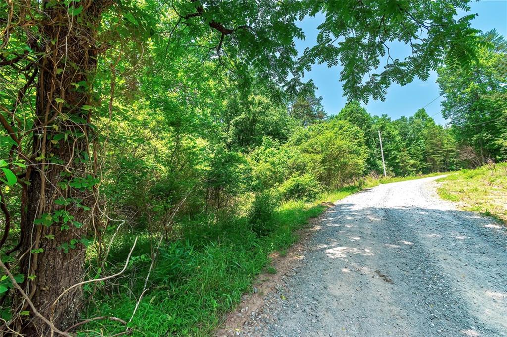 3.35AC Pine Lane, Mineral Bluff, Georgia image 18