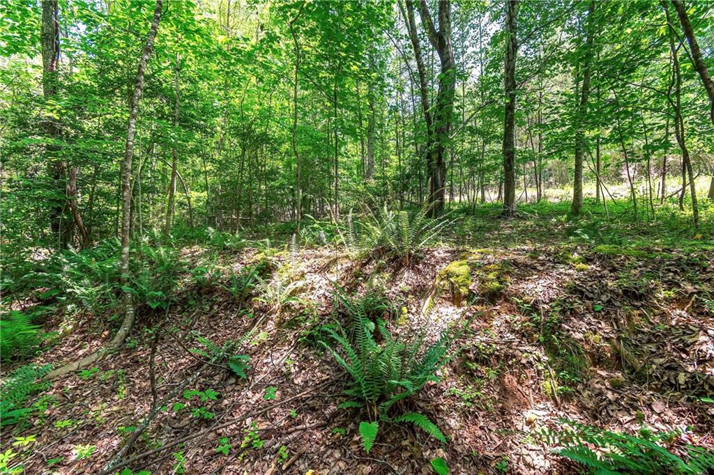 3.35AC Pine Lane, Mineral Bluff, Georgia image 22