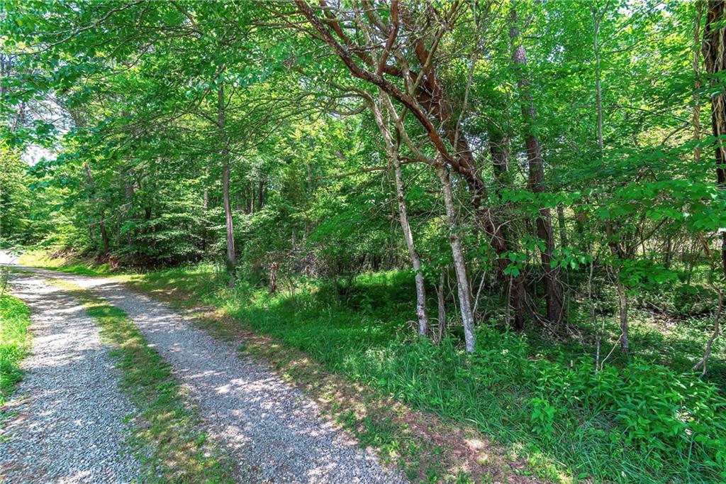 3.35AC Pine Lane, Mineral Bluff, Georgia image 7