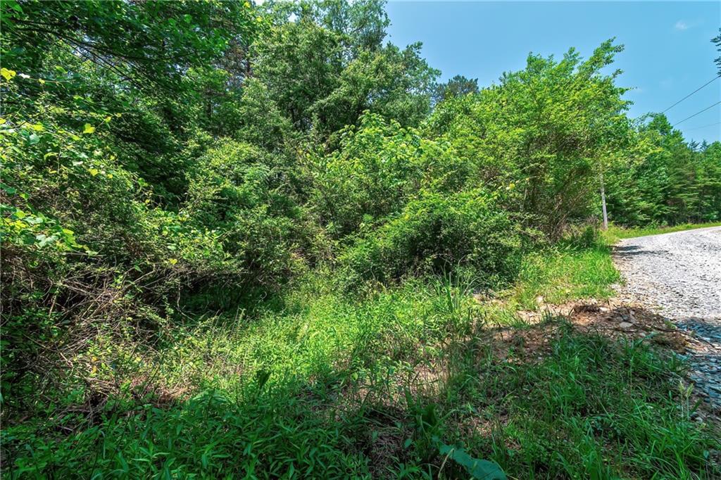 3.35AC Pine Lane, Mineral Bluff, Georgia image 4