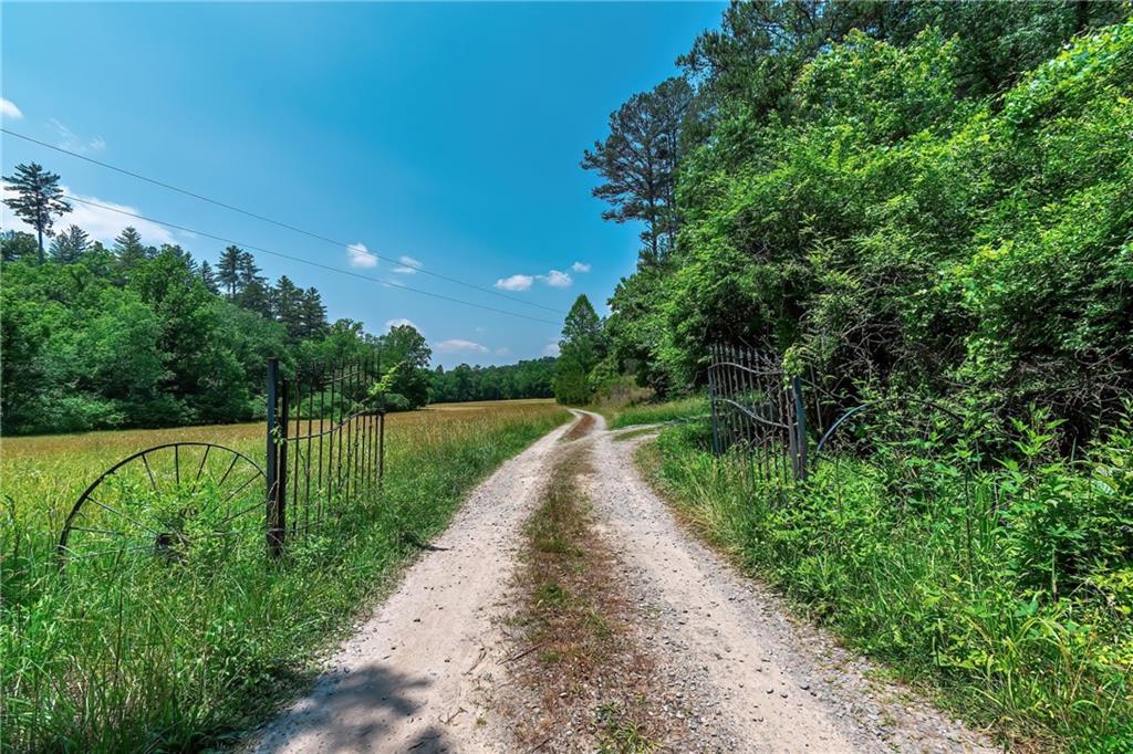 3.35AC Pine Lane, Mineral Bluff, Georgia image 31