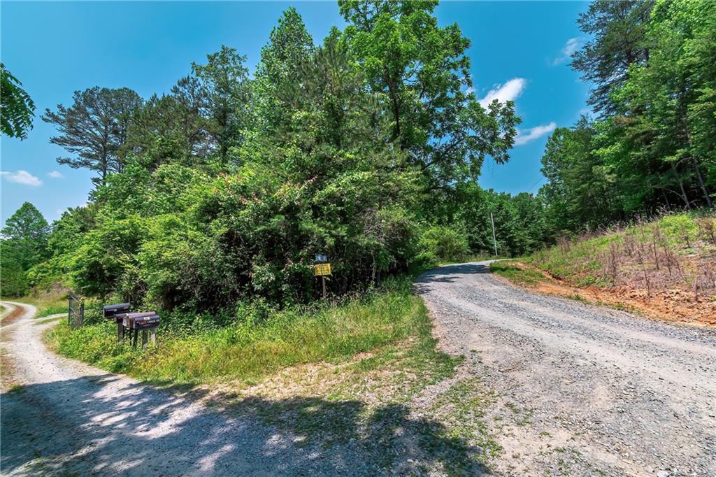 3.35AC Pine Lane, Mineral Bluff, Georgia image 2