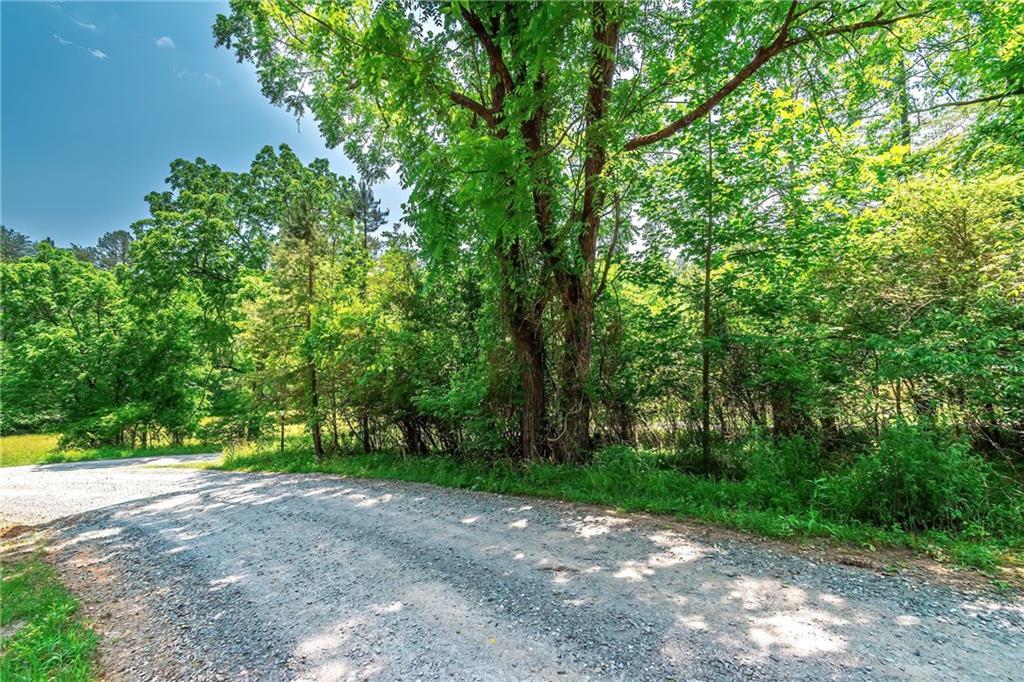 3.35AC Pine Lane, Mineral Bluff, Georgia image 19