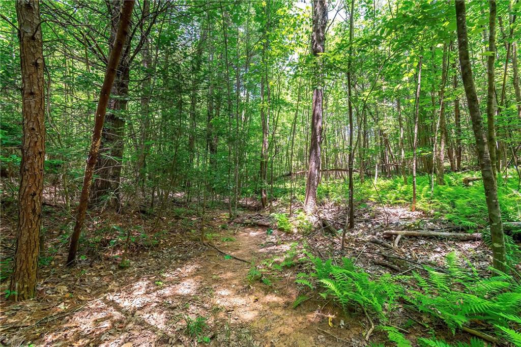 3.35AC Pine Lane, Mineral Bluff, Georgia image 23