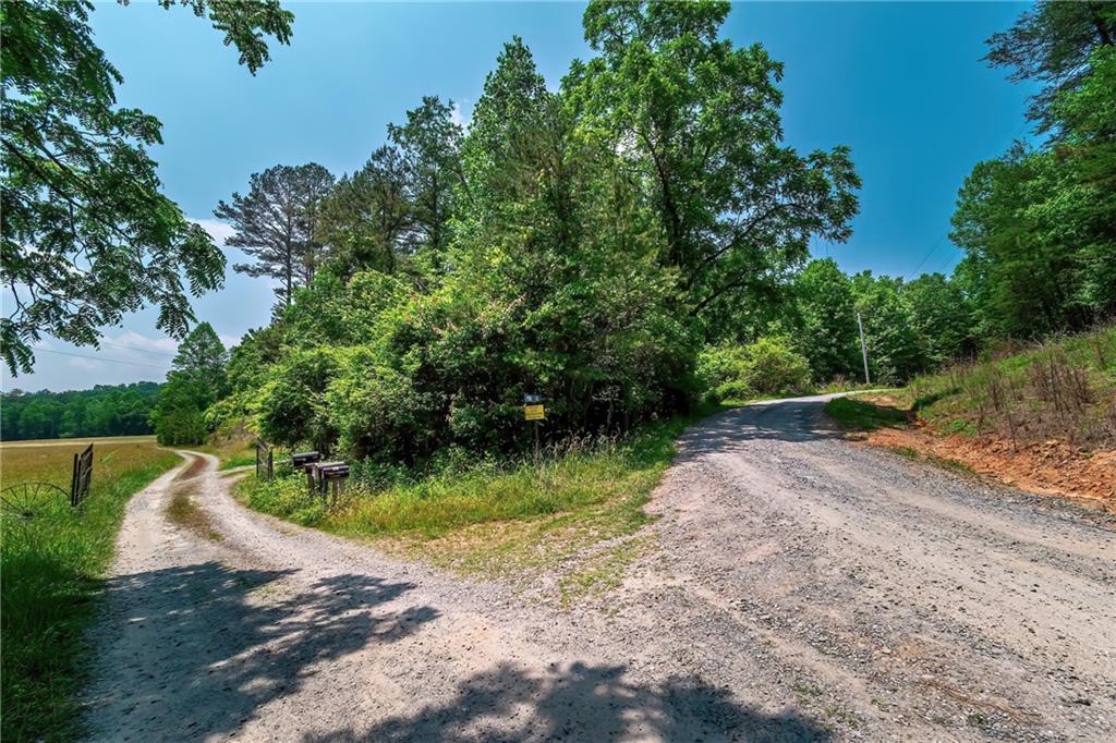 3.35AC Pine Lane, Mineral Bluff, Georgia image 30