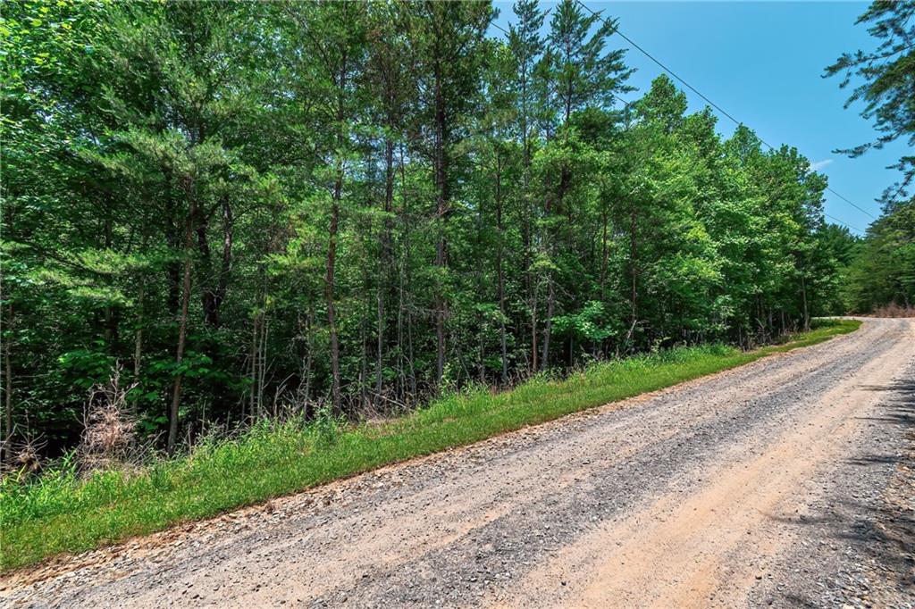 3.35AC Pine Lane, Mineral Bluff, Georgia image 1