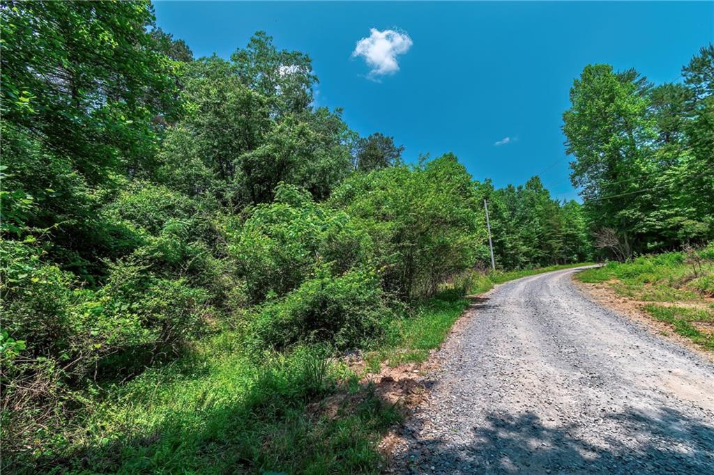 3.35AC Pine Lane, Mineral Bluff, Georgia image 11