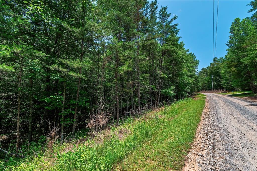 3.35AC Pine Lane, Mineral Bluff, Georgia image 13