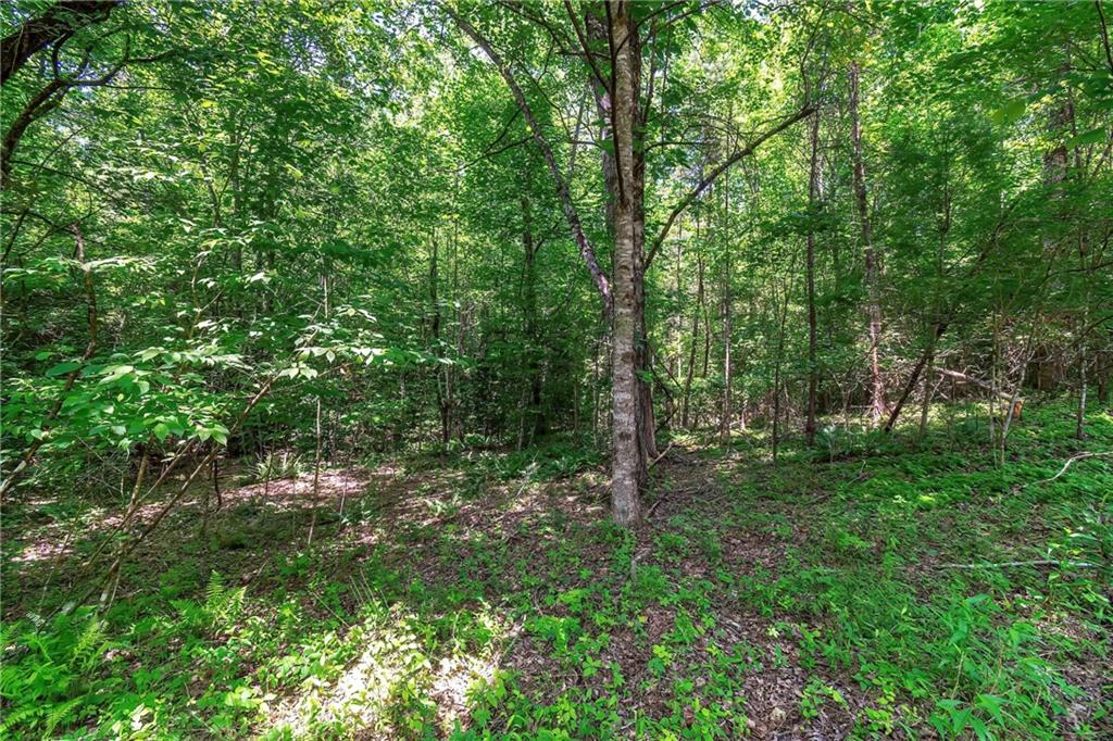 3.35AC Pine Lane, Mineral Bluff, Georgia image 14