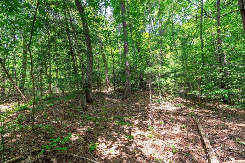 3.35AC Pine Lane, Mineral Bluff, Georgia image 3