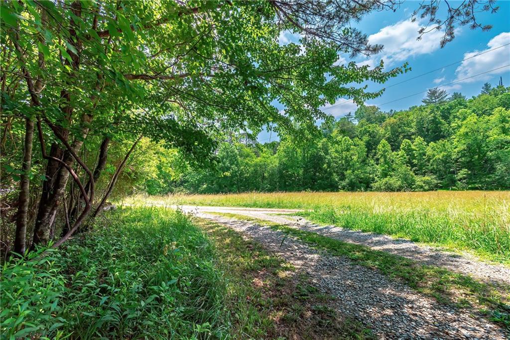 3.35AC Pine Lane, Mineral Bluff, Georgia image 8