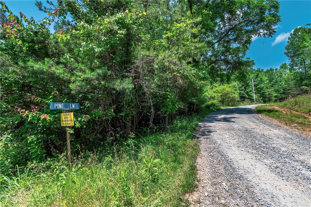 3.35AC Pine Lane, Mineral Bluff, Georgia image 6