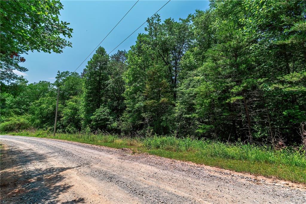 3.35AC Pine Lane, Mineral Bluff, Georgia image 17