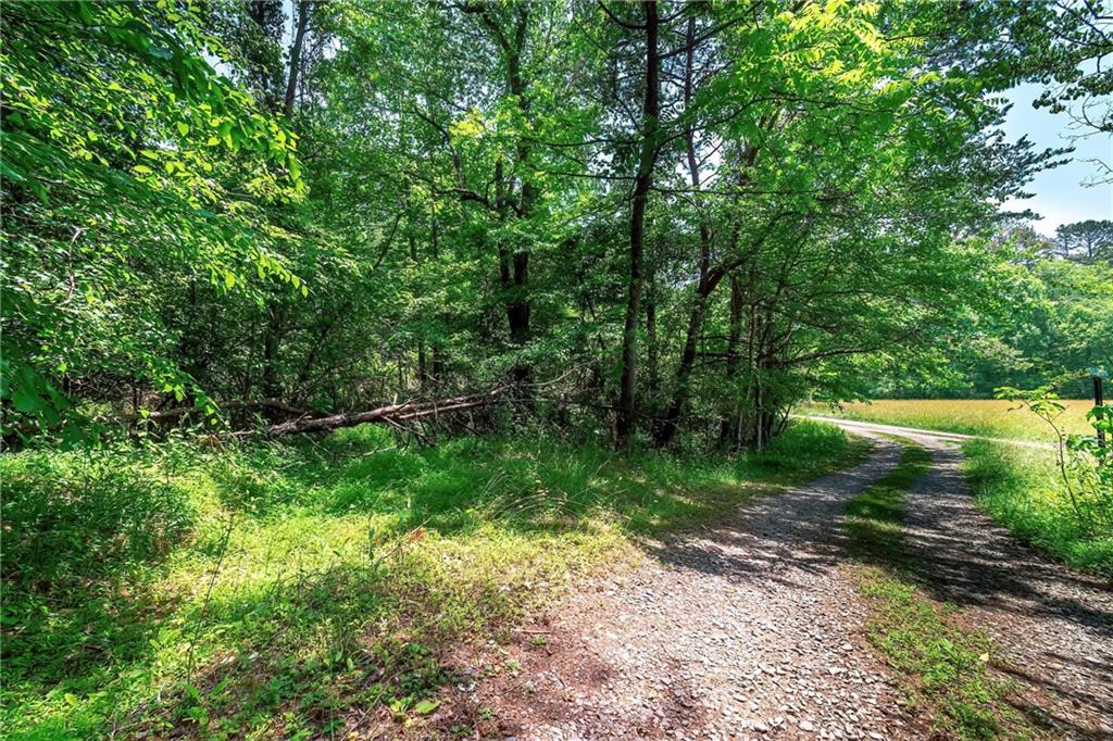 3.35AC Pine Lane, Mineral Bluff, Georgia image 9