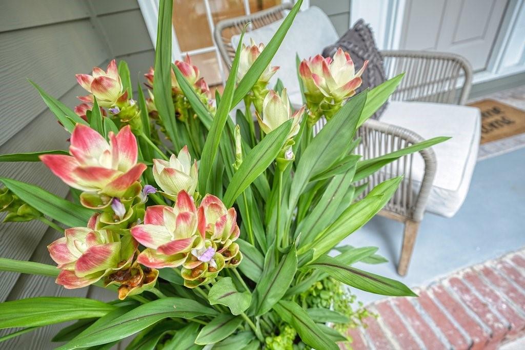 Eagle Watch - Residential