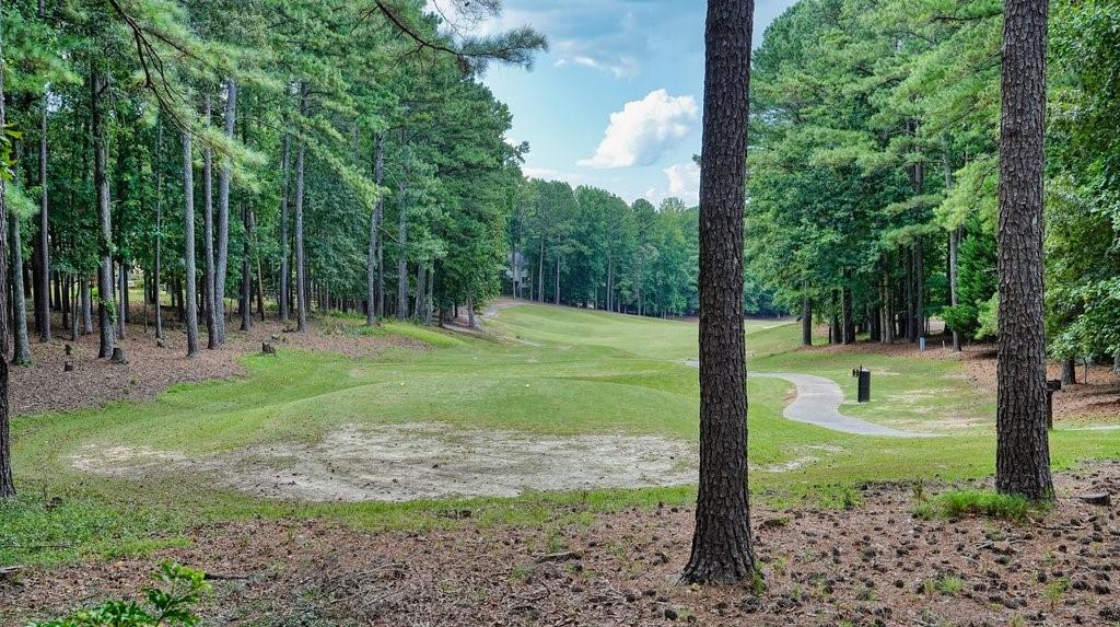 Eagle Watch - Residential