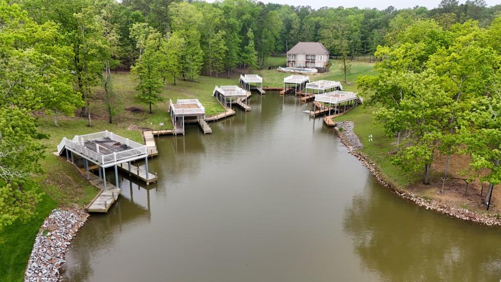 Rosemary Lane, Cedar Bluff, Alabama image 6