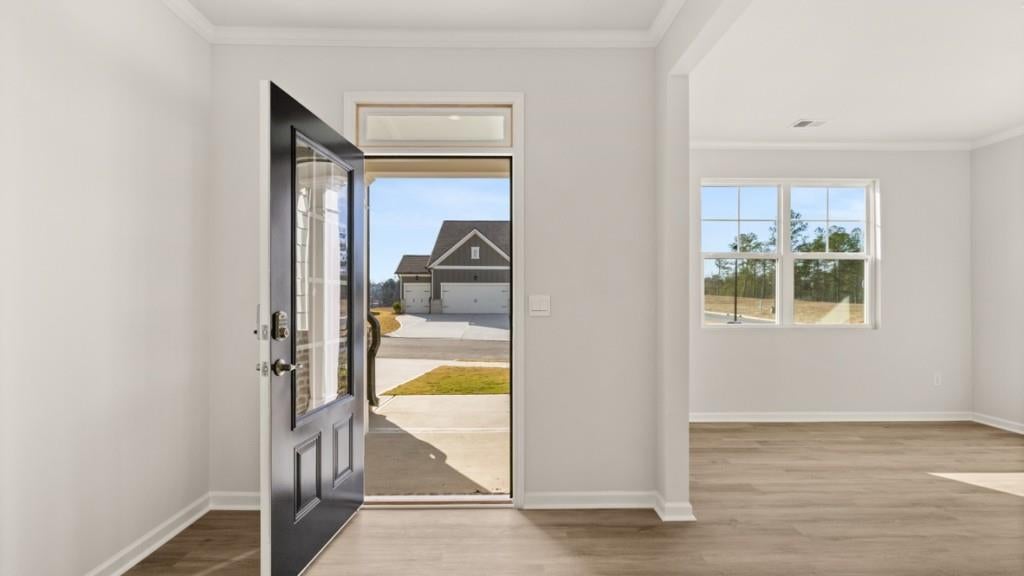 211 Plantain Drive