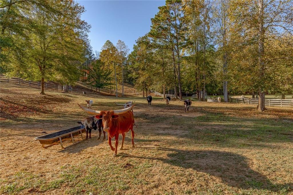 00 Reinhardt College Parkway, Waleska, Georgia image 4