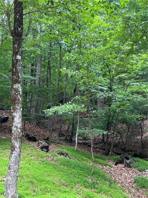 1649 Moss Patch Trail, Jasper, Georgia image 3