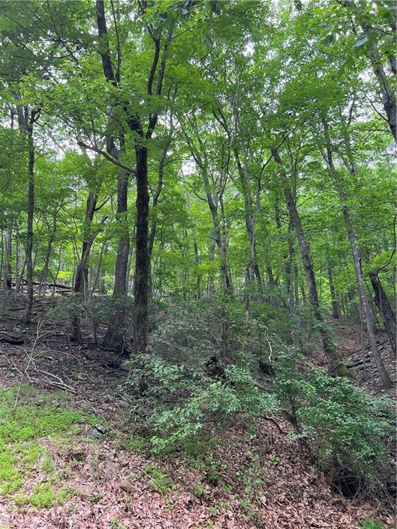 1649 Moss Patch Trail, Jasper, Georgia image 6