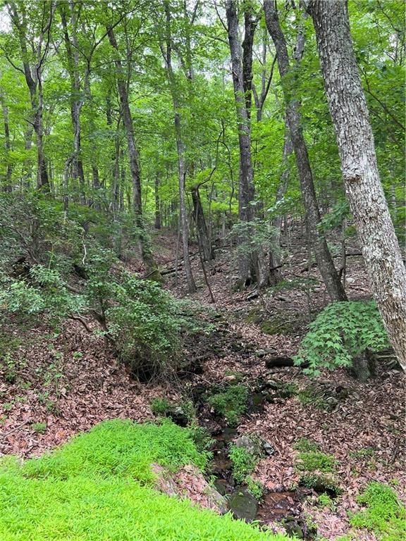 1649 Moss Patch Trail, Jasper, Georgia image 7