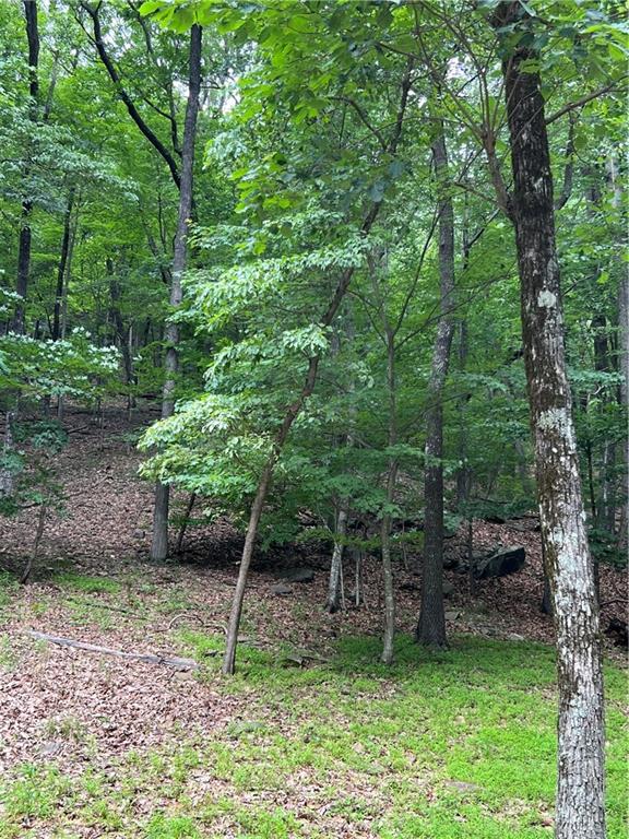 1649 Moss Patch Trail, Jasper, Georgia image 4