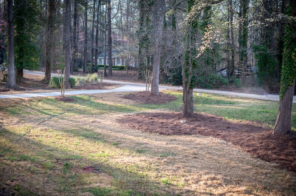 2923 Glenhaven Court, Conyers, Georgia image 16