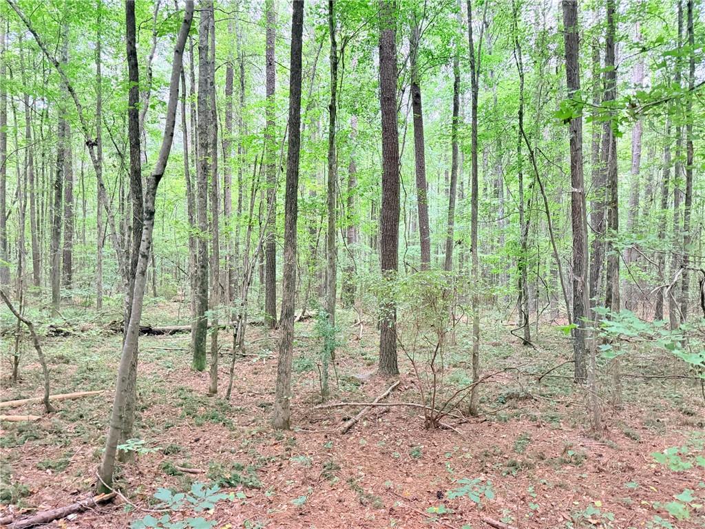 0 Rockmart Road