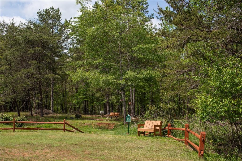 1418 Panorama Drive, Sautee Nacoochee, Georgia image 6