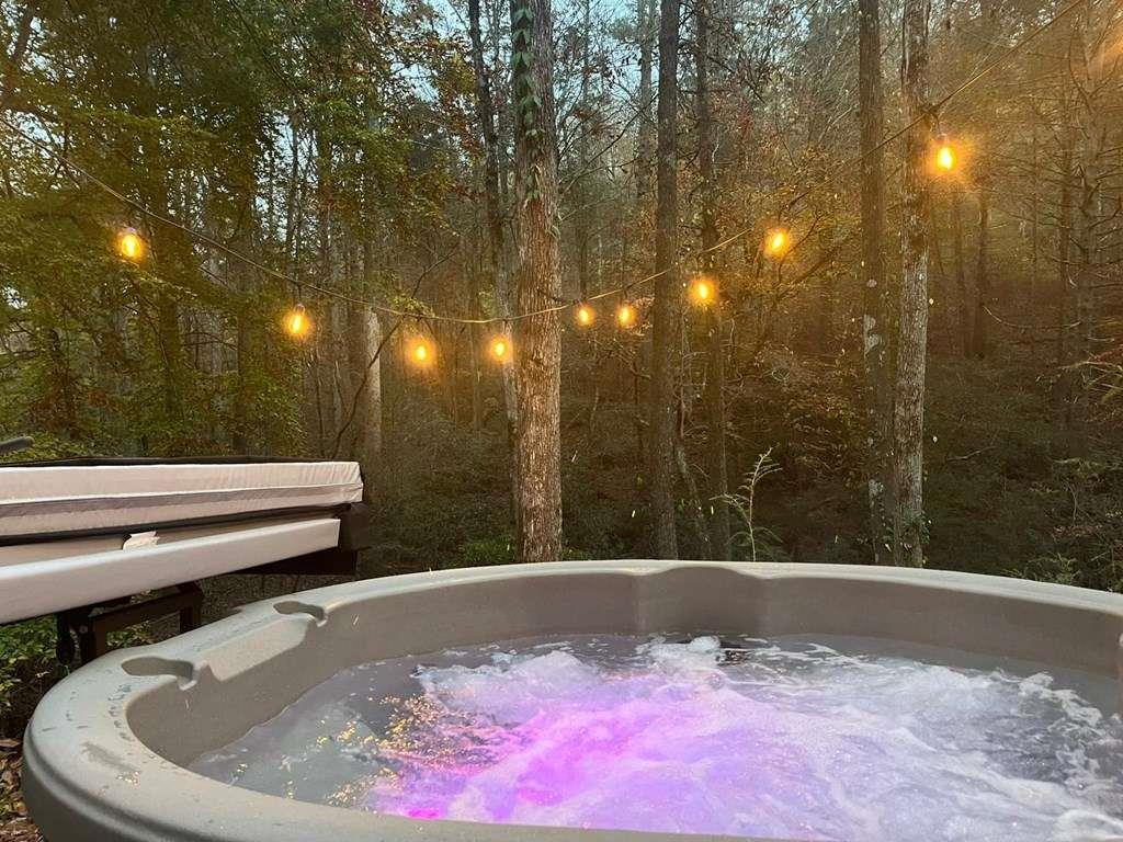 414 Watersong Trail, Ellijay, Georgia image 47