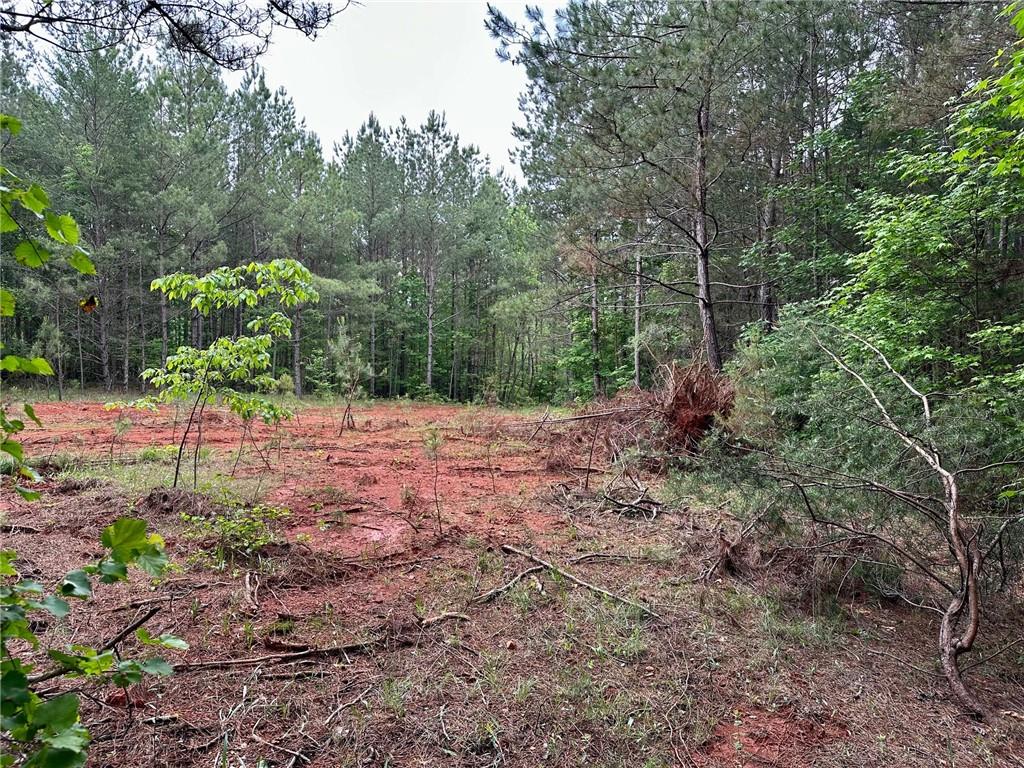5.3-/+ Patriot, Dahlonega, Georgia image 9