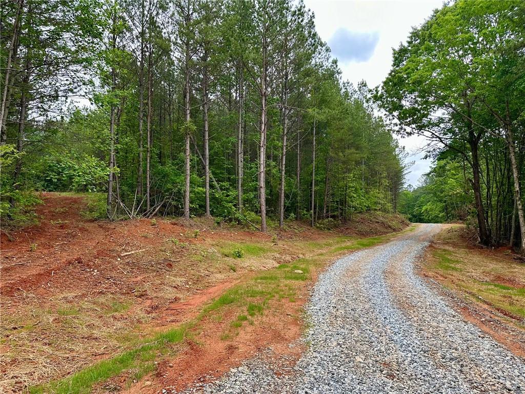 5.3-/+ Patriot, Dahlonega, Georgia image 16