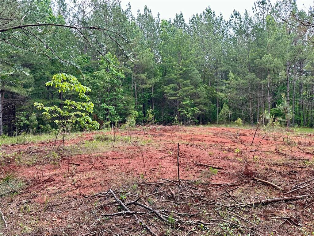 5.3-/+ Patriot, Dahlonega, Georgia image 12