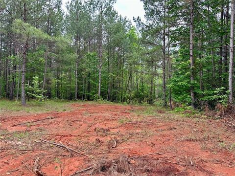 5.3-/+ Patriot Dahlonega GA 30533