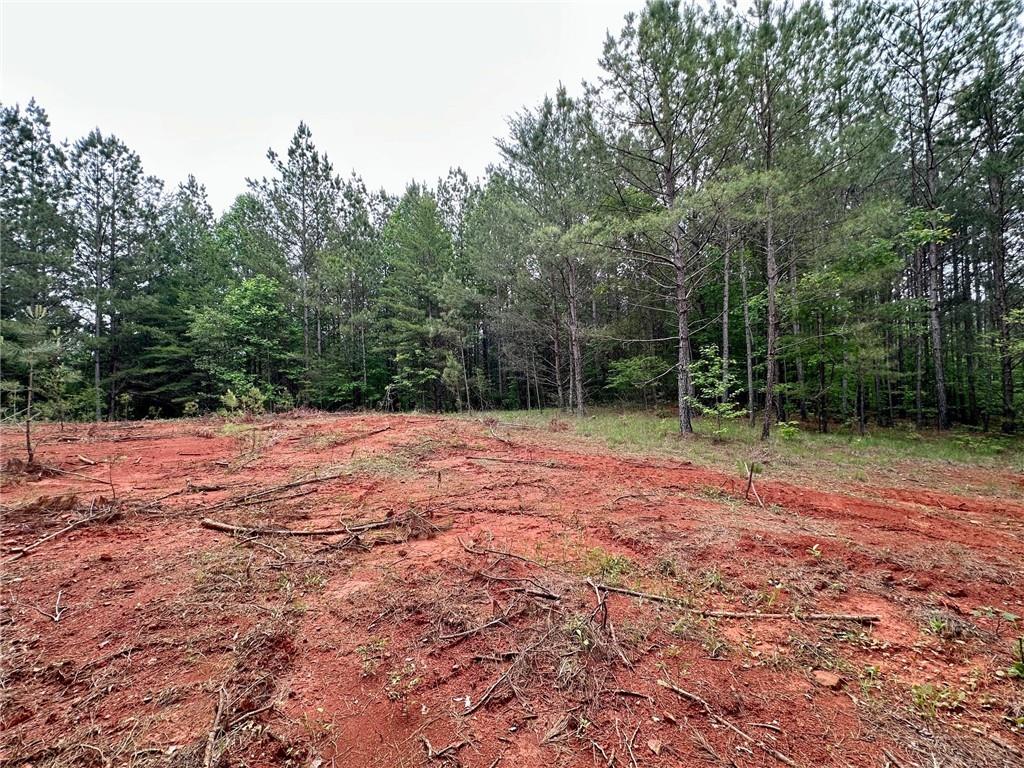 5.3-/+ Patriot, Dahlonega, Georgia image 14