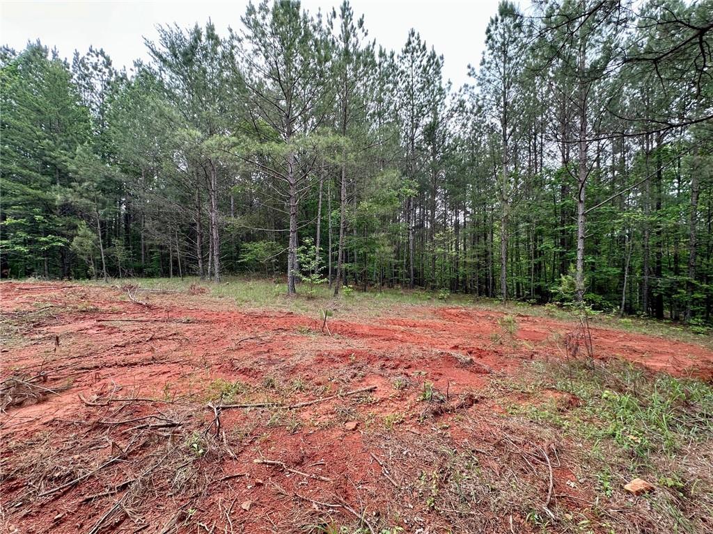 5.3-/+ Patriot, Dahlonega, Georgia image 13