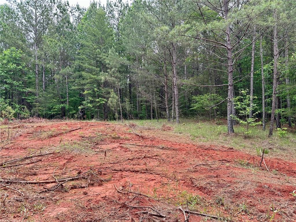 5.3-/+ Patriot, Dahlonega, Georgia image 15