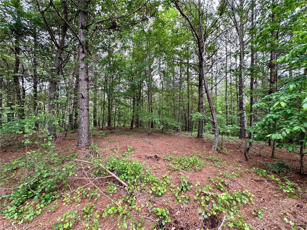 5.3-/+ Patriot, Dahlonega, Georgia image 6