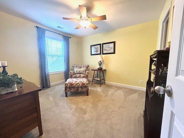 45 Fenway Court, Newnan, Georgia image 18