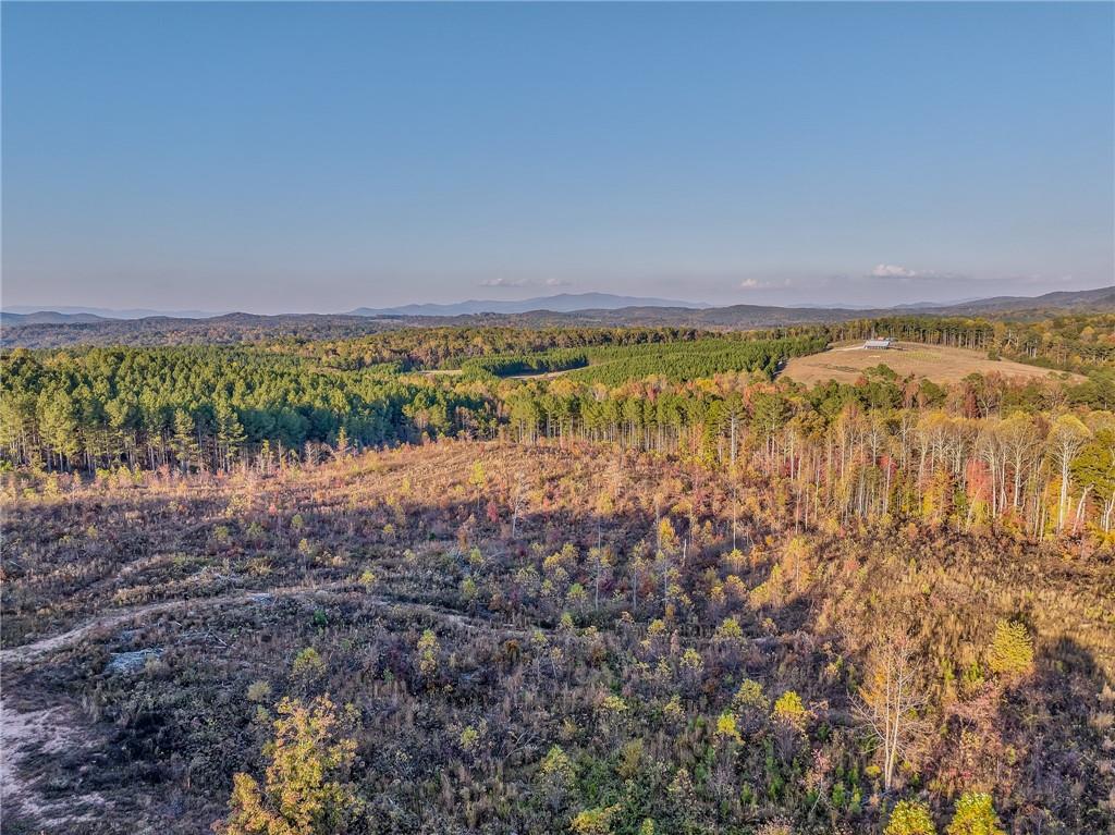 223 Bear Creek Road, Talking Rock, Georgia image 9