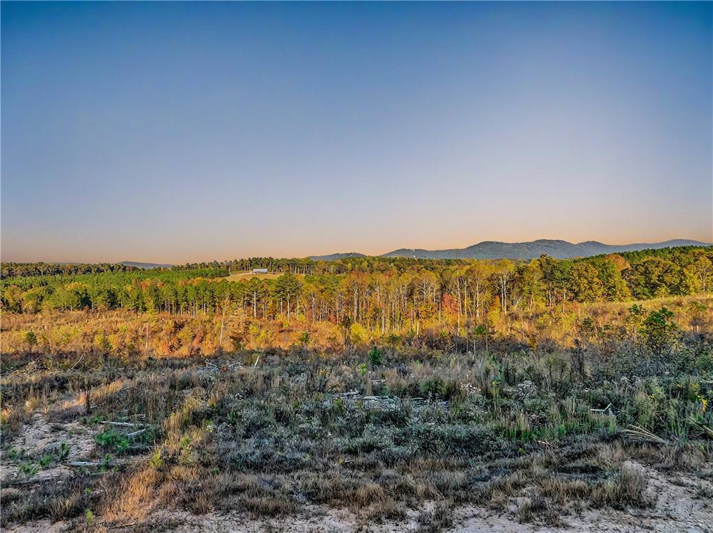 223 Bear Creek Road, Talking Rock, Georgia image 3