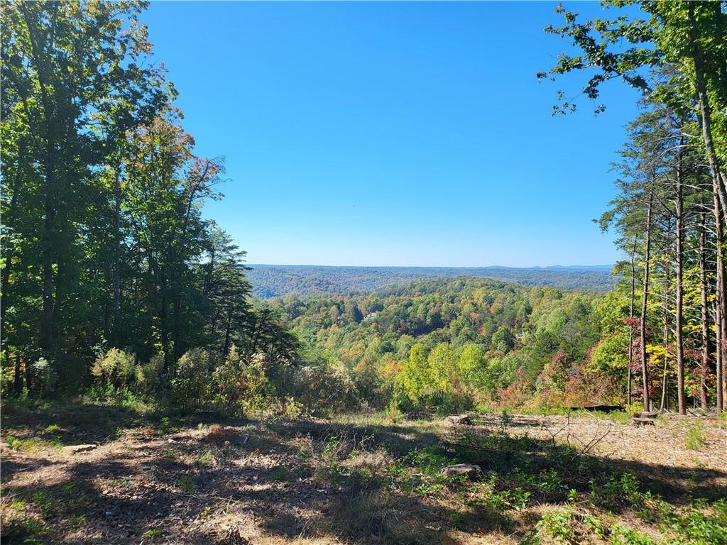 158 Crown Mountain Drive, Dahlonega, Georgia image 9