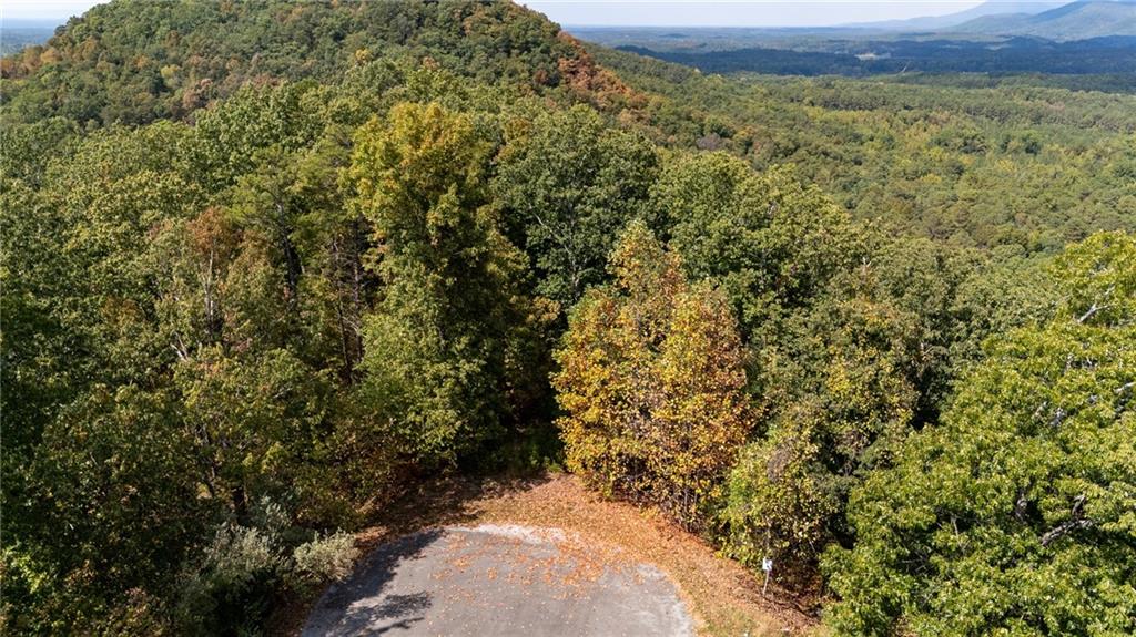 Carters Overlook, Ranger, Georgia image 8