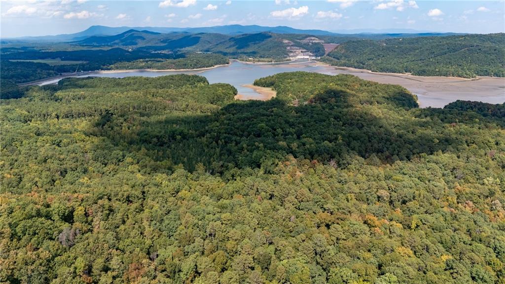 Carters Overlook, Ranger, Georgia image 6