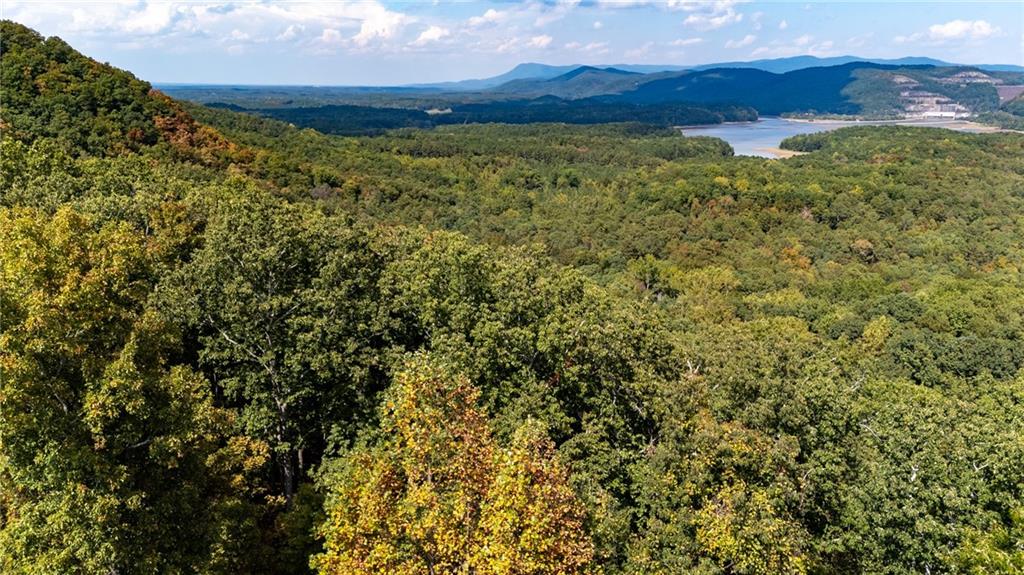 Carters Overlook, Ranger, Georgia image 9