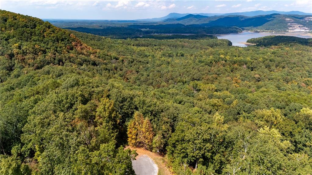 Carters Overlook, Ranger, Georgia image 7