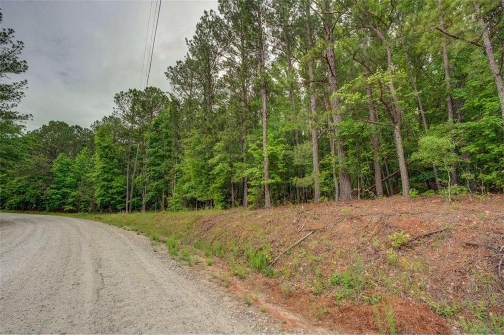 Jeffries Road Tract A 32.55, Shady Dale, Georgia image 6