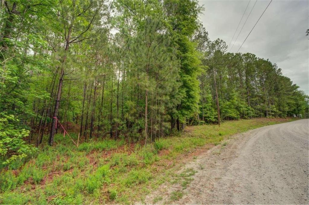 Jeffries Road Tract A 32.55, Shady Dale, Georgia image 2