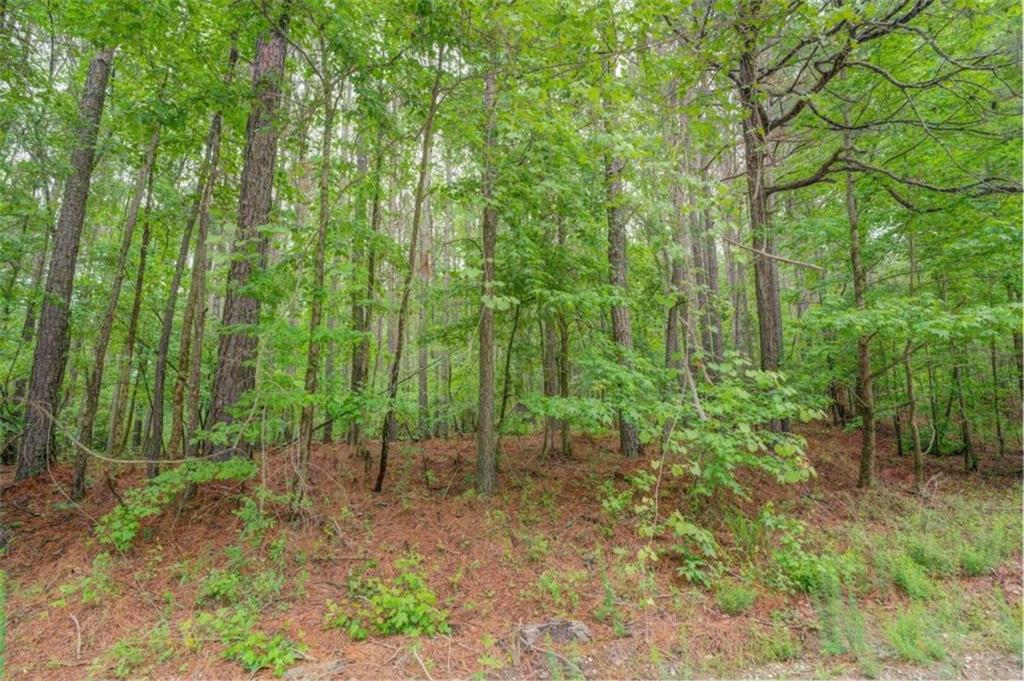 Jeffries Road Tract A 32.55, Shady Dale, Georgia image 5